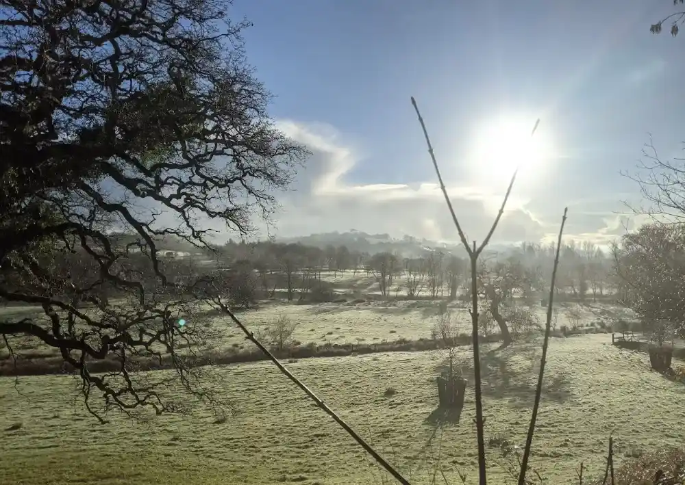 Winter landscape view